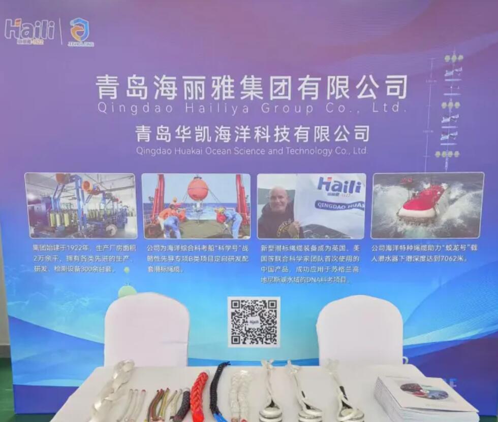 青島海麗雅集團 青島海麗雅集團