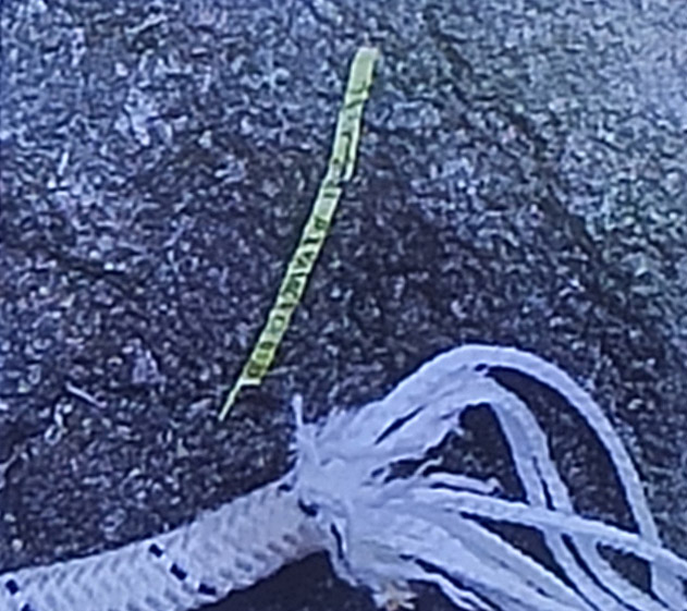 繩皮滑動的表現